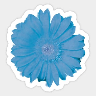 Blue Daisy Flower Sticker